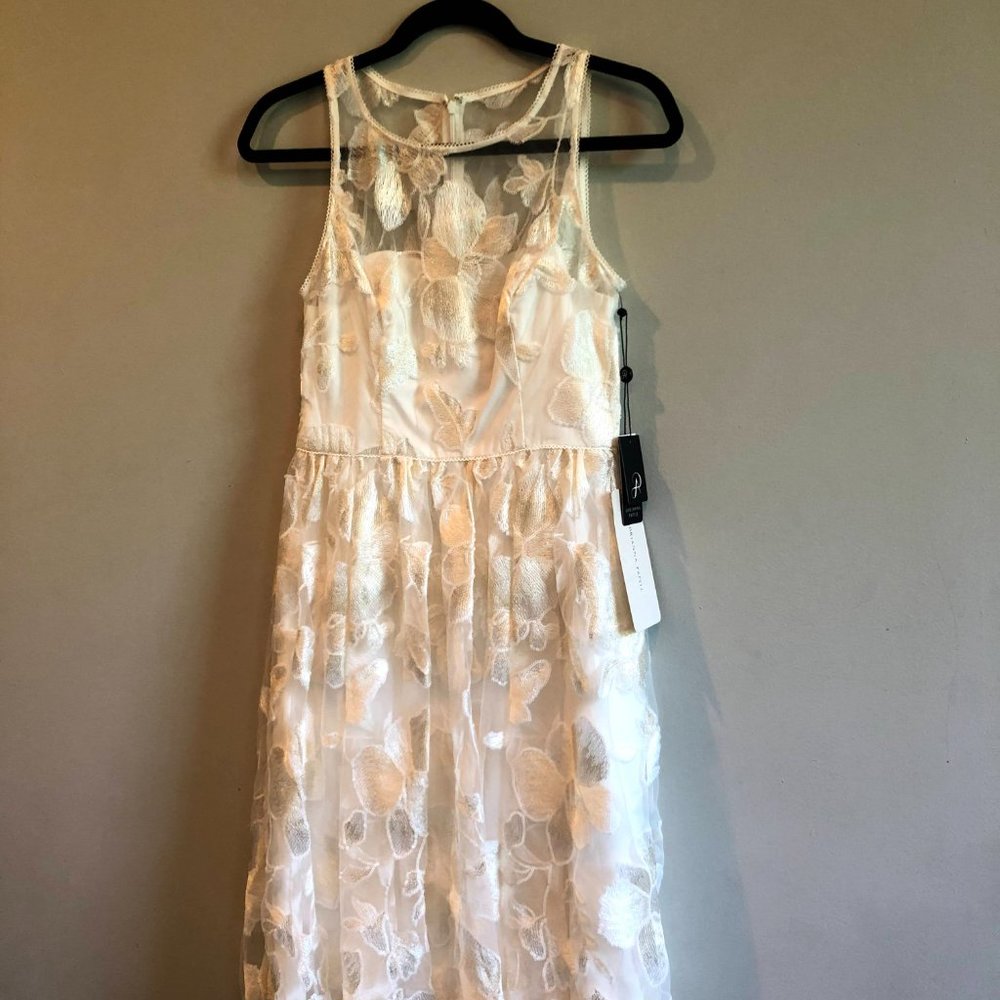 White and Ivory Dress Adrianna Papell Size 2 NWT